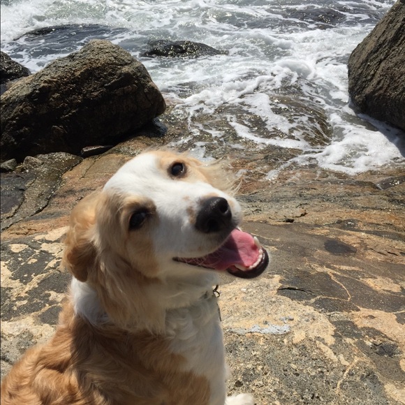 Meet your Posher, Isabel - Picture 1 of 1